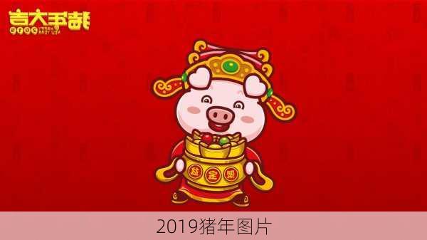 2019猪年图片