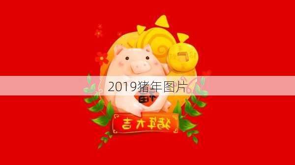 2019猪年图片