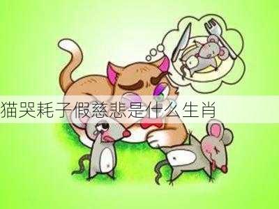 猫哭耗子假慈悲是什么生肖