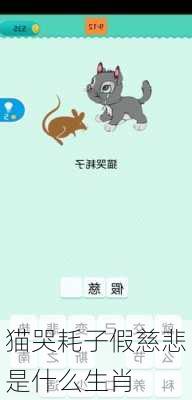 猫哭耗子假慈悲是什么生肖