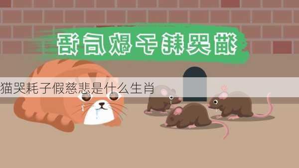 猫哭耗子假慈悲是什么生肖