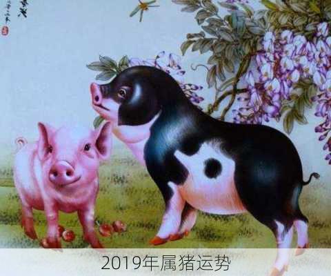 2019年属猪运势