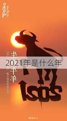 2021年是什么年