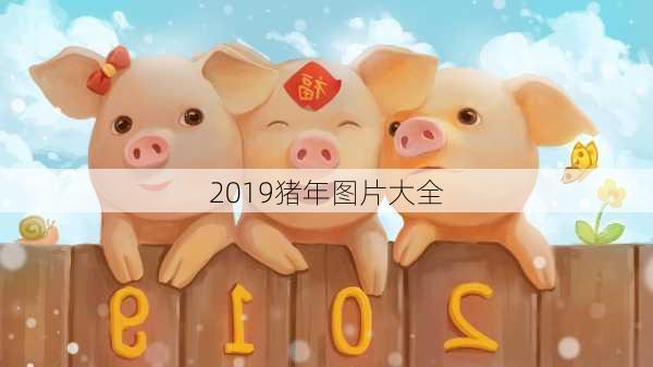 2019猪年图片大全