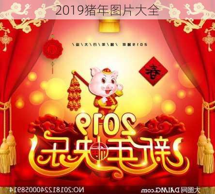 2019猪年图片大全