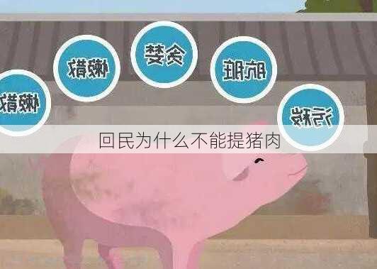 回民为什么不能提猪肉