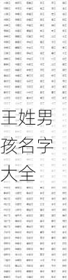 王姓男孩名字大全