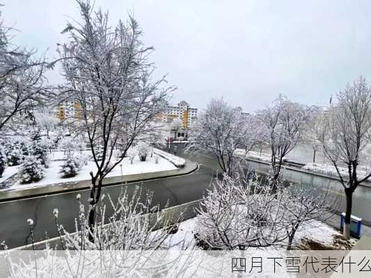 四月下雪代表什么