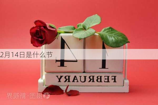 2月14日是什么节