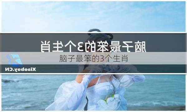 脑子最笨的3个生肖