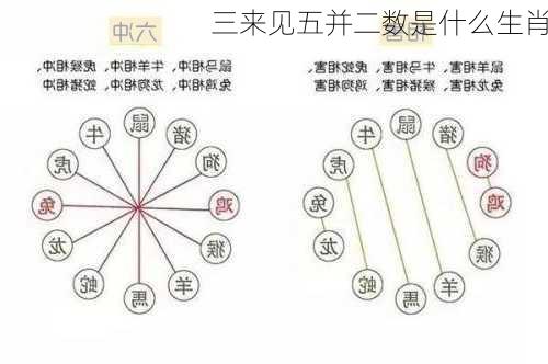 三来见五并二数是什么生肖