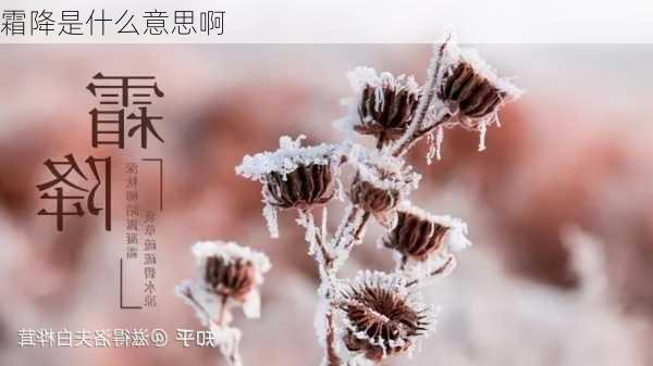 霜降是什么意思啊