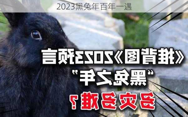 2023黑兔年百年一遇