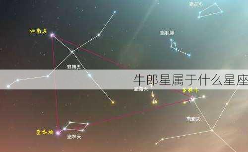 牛郎星属于什么星座