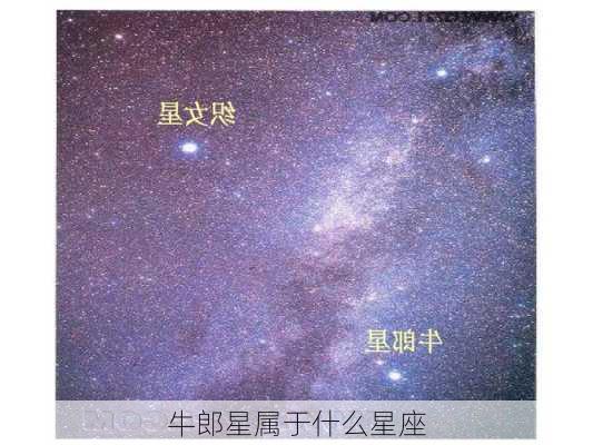 牛郎星属于什么星座