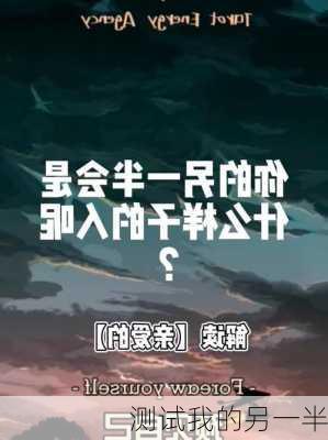 测试我的另一半