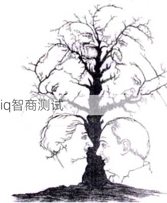 iq智商测试