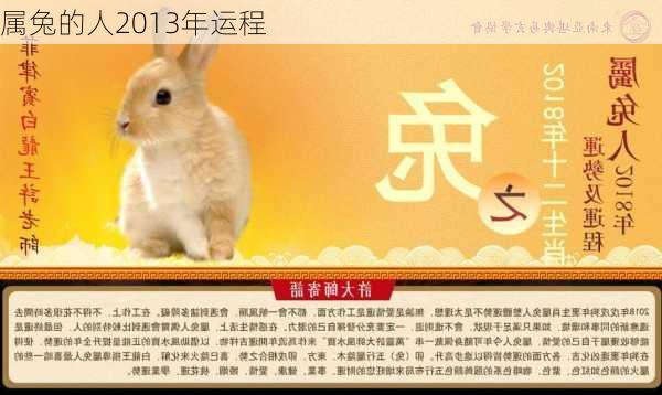 属兔的人2013年运程