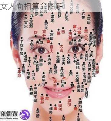 女人面相算命图解