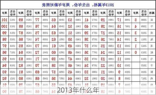 2013年什么年