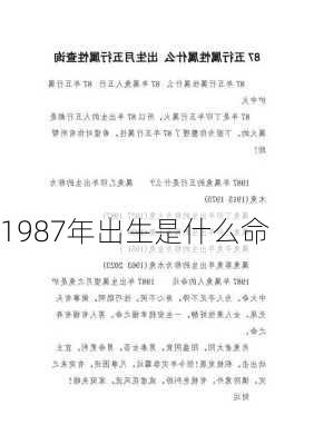 1987年出生是什么命