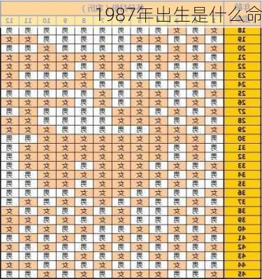 1987年出生是什么命