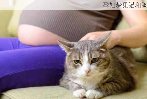 孕妇梦见猫和狗