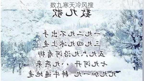 数九寒天冷风搜