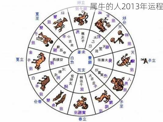 属牛的人2013年运程