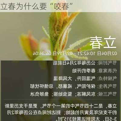 立春为什么要“咬春”