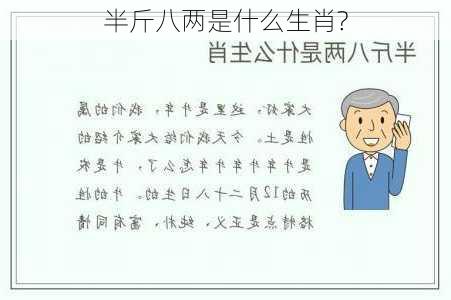 半斤八两是什么生肖?