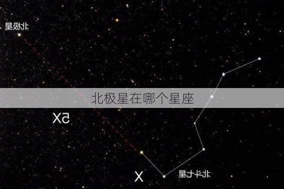 北极星在哪个星座