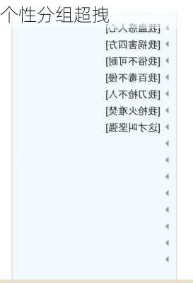 个性分组超拽