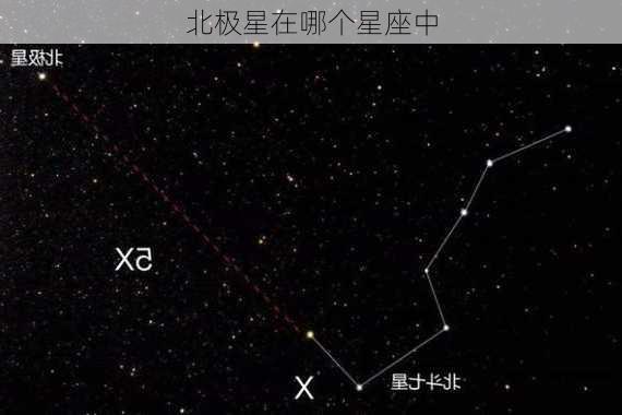 北极星在哪个星座中