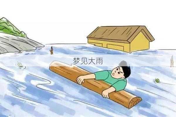 梦见大雨