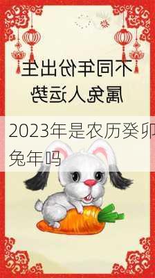 2023年是农历癸卯兔年吗