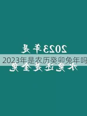 2023年是农历癸卯兔年吗