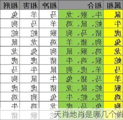 天肖地肖是哪几个肖