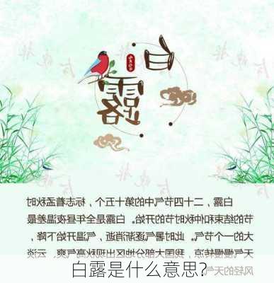 白露是什么意思?