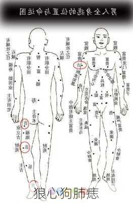 狼心狗肺痣