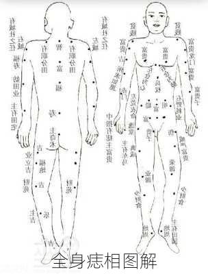 全身痣相图解