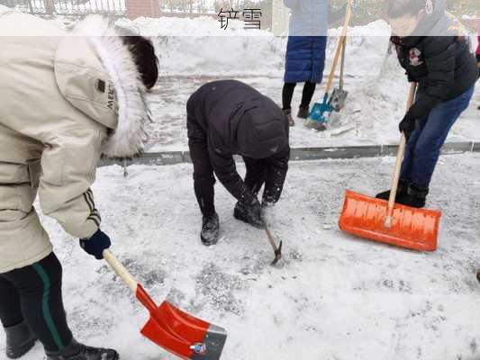 铲雪