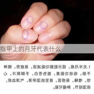 指甲上的月牙代表什么