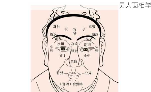 男人面相学