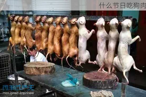 什么节日吃狗肉