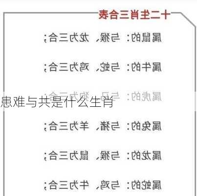 患难与共是什么生肖