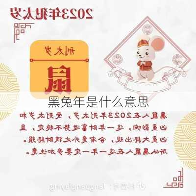 黑兔年是什么意思