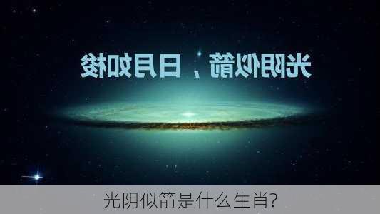 光阴似箭是什么生肖?