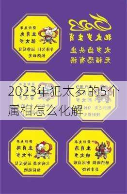 2023年犯太岁的5个属相怎么化解