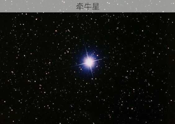 牵牛星